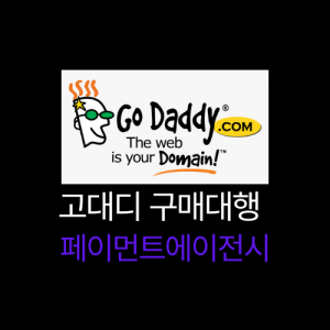 GoDaddy 구매