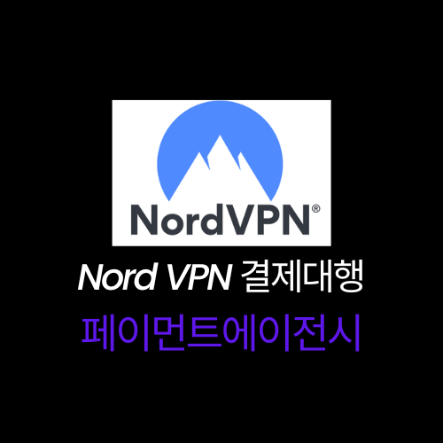 노드 VPN 결제