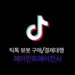 #4 틱톡 뷰봇 구매대행